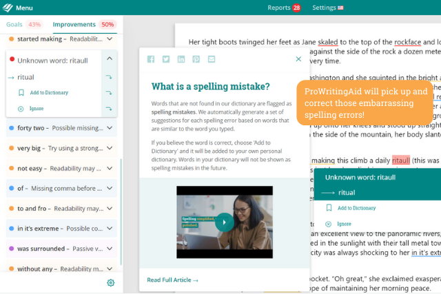 Screenshot of ProWritingAid's web editor