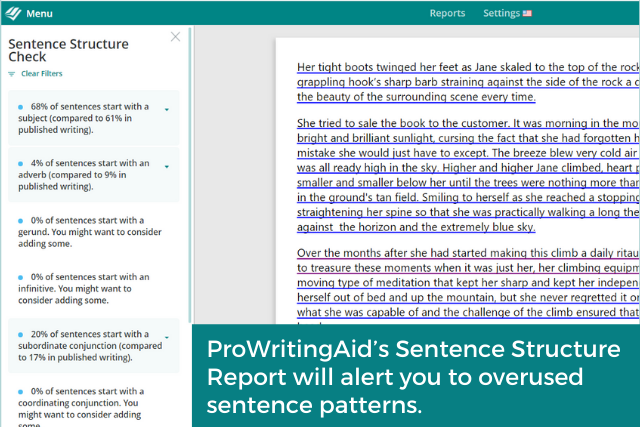 Screenshot of ProWritingAid's structure report