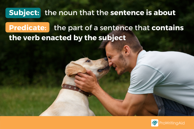 Image showing subject-predicate relationship
