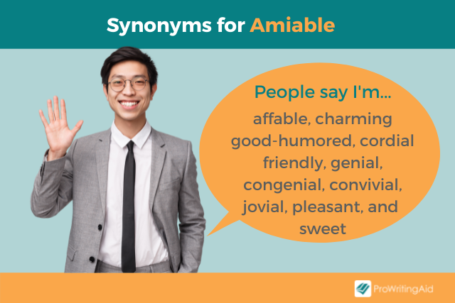 amiable-definition-and-meaning