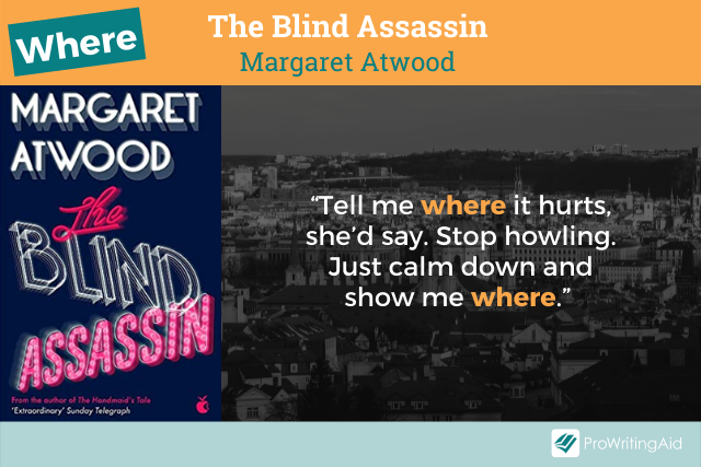 The Blind Assassin book