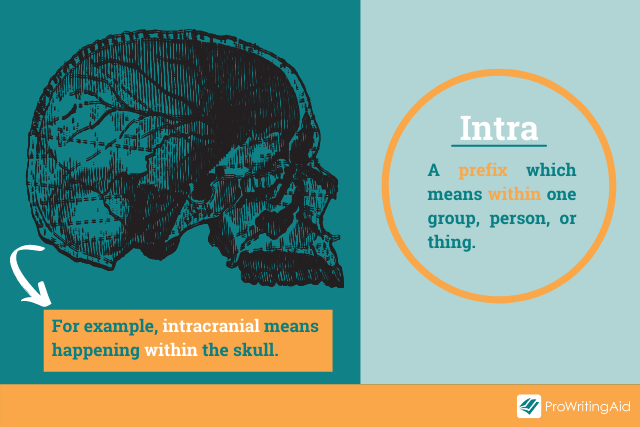 inter-or-intra-what-s-the-difference