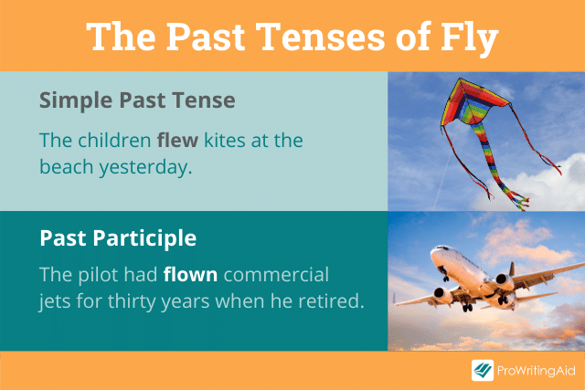 fly-past-tense-what-is-it