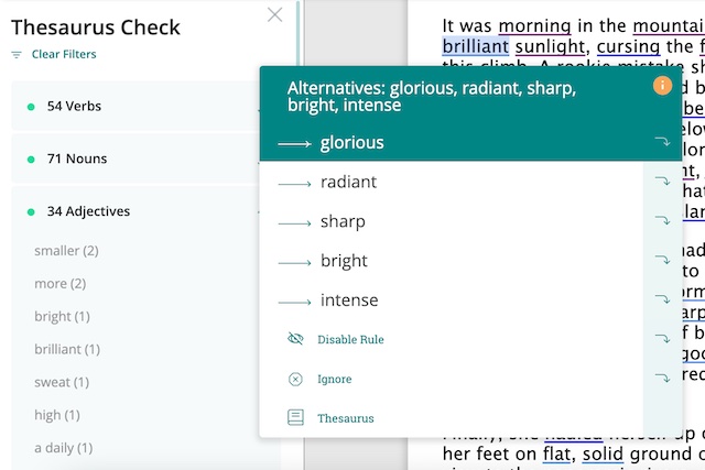 check your adjectives with this editing tool