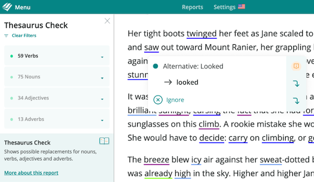 Thesaurus Report Demo Graphic 