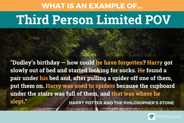 What is third person limited point of view
