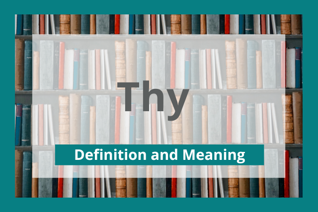 thy-definition-and-meaning