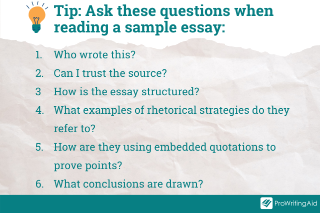 Image showing tips when reading a sample essay