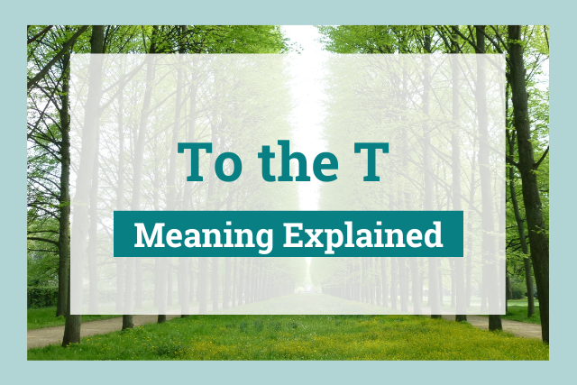 To the T: Meaning Explained