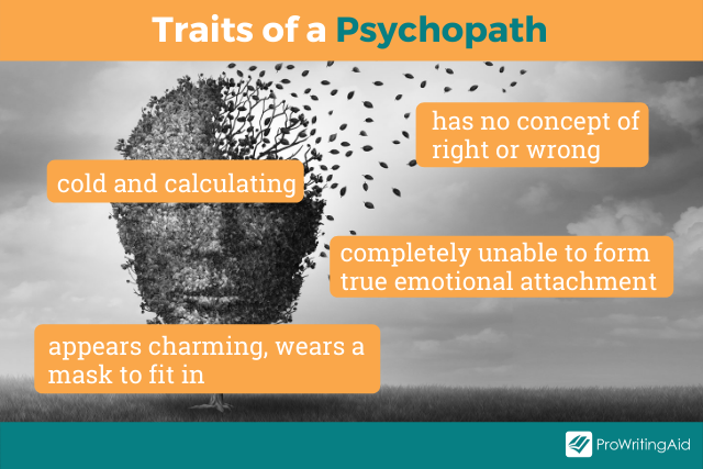 Image showing traits of sociopath