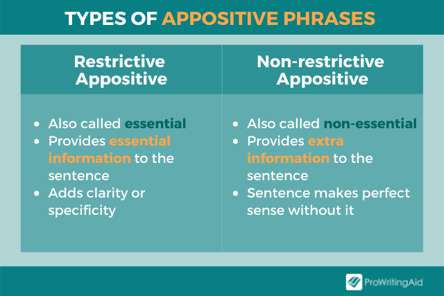 Types Of Appositive Phrases