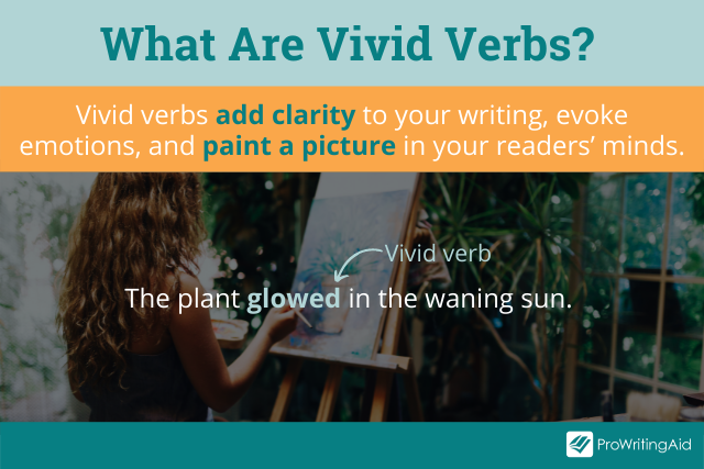 Vivid verbs definition
