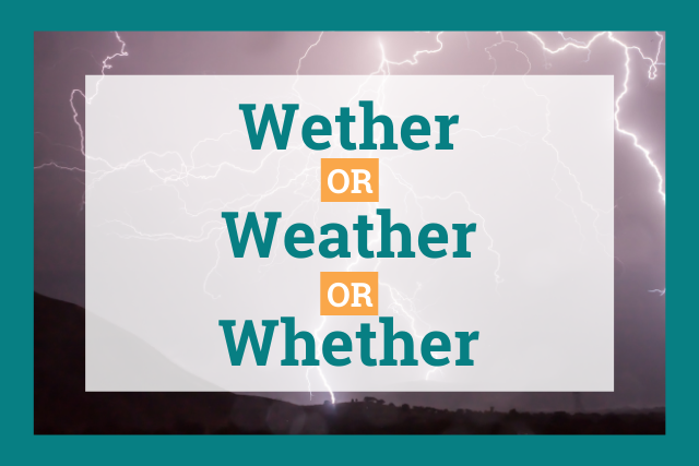 Wether, Weather, or Whether: What's the Difference?