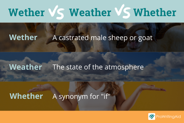 Wether vs whether vs weather