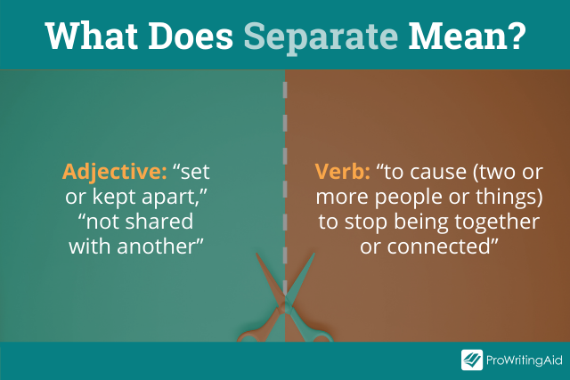 Separate Definition And Meaning