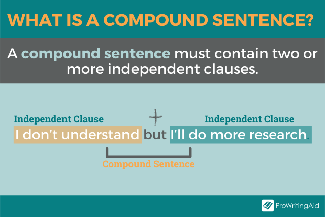 Sentence With Alone Example