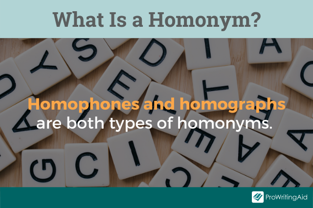 What is a homonym