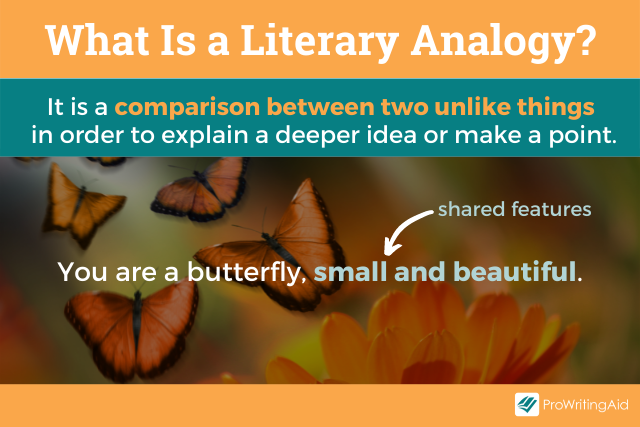 What is a literary analogy