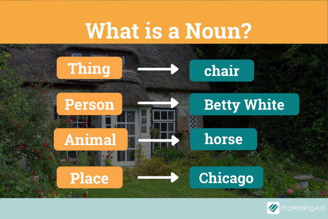 What Are Common Nouns And When To Use Them