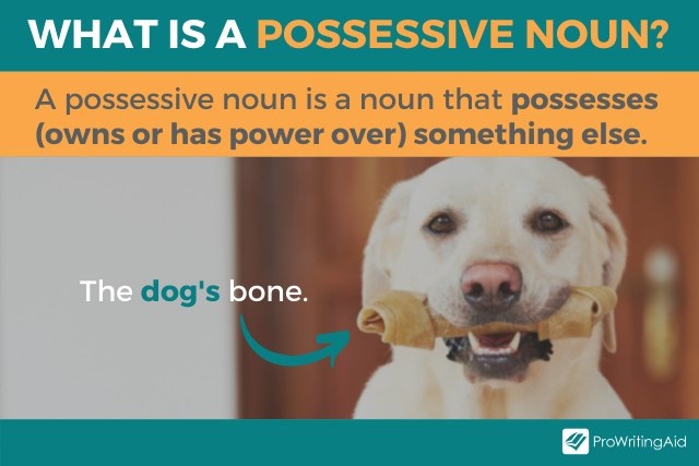 Image showing definition of possessive noun