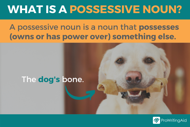 what-is-possessive-noun-definition-and-examples