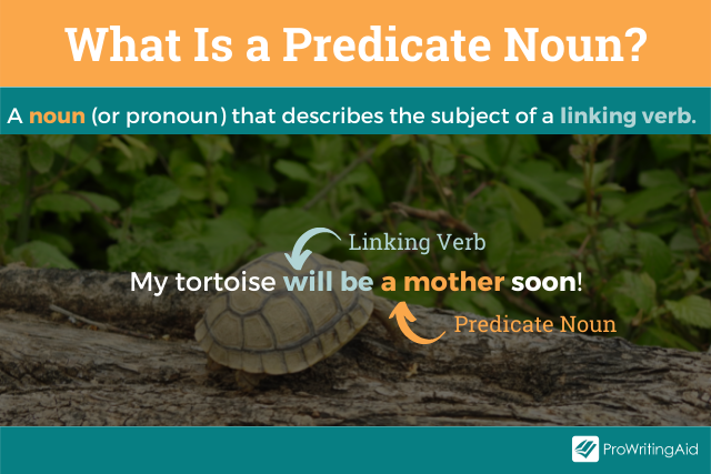 Image showing predicate nouns