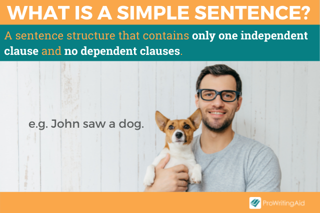 concluding sentence definition and examples