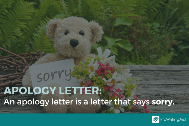 Image showing definition of an apology letter