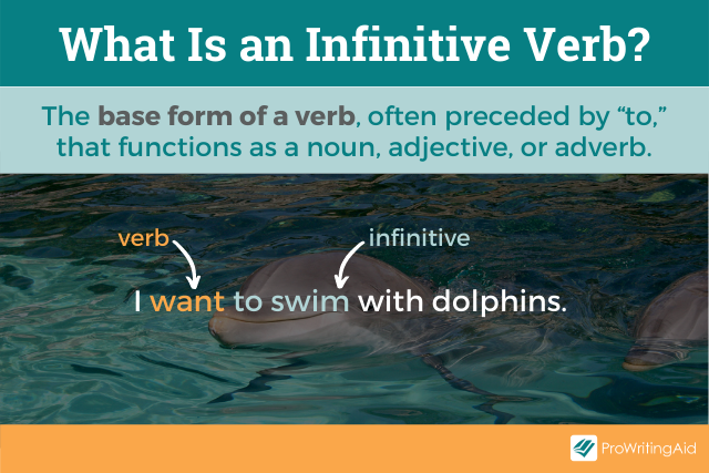 What is an infinitive verb