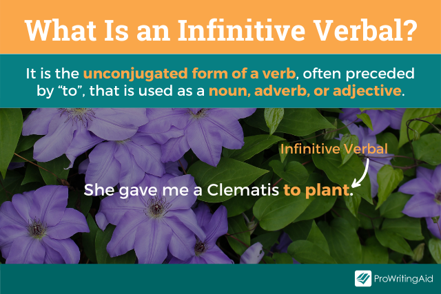 What Is An Infinitive?