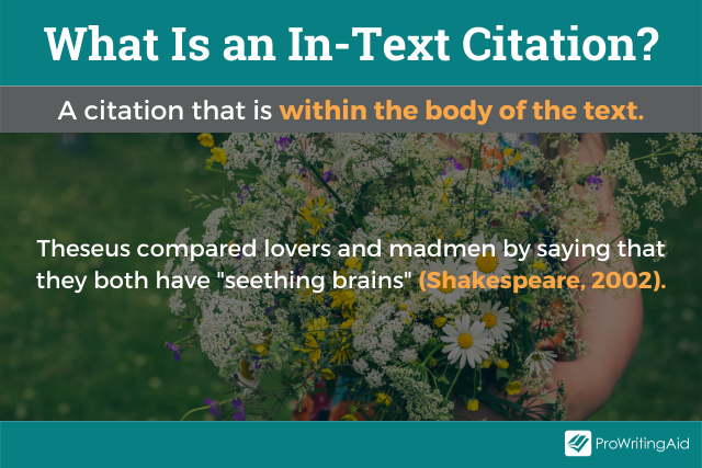 Image showing what is in-text citation
