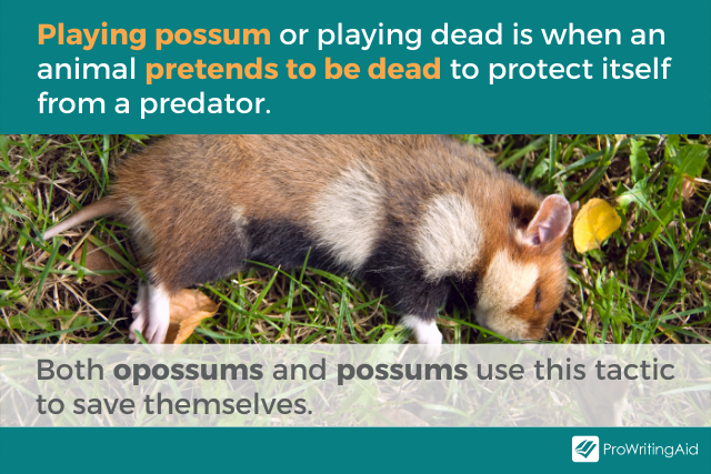 Image showing meaning of playing possum