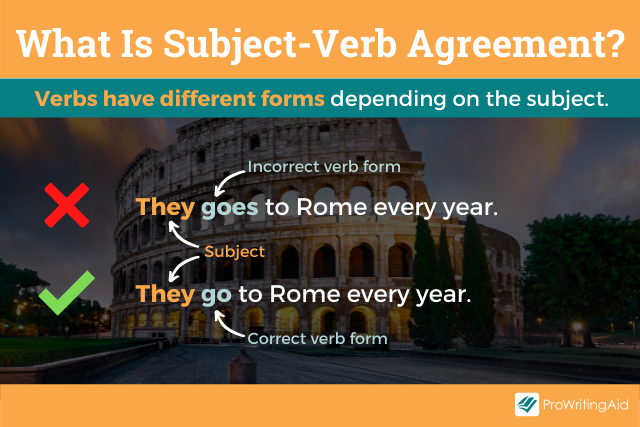 What is subject verb agreement