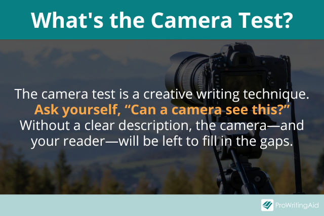 https://marketing.prowritingaid.com/whats-the-camera-test.png