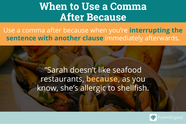 comma-before-because-using-because-in-a-sentence