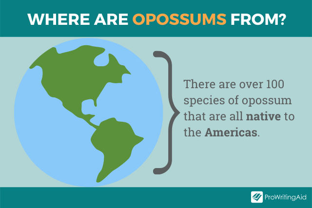 Image showing where opossums are from