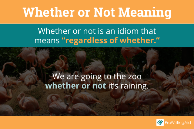 whether or not meaning