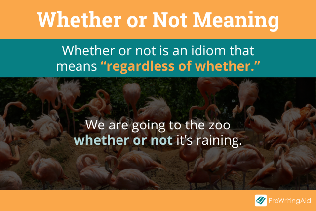 Whether or Not: Meaning and Correct Usage