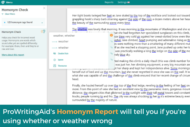 Screenshot of ProWritingAid's homonym report