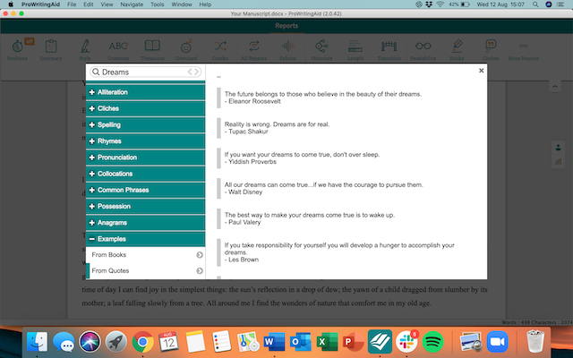 ProWritingAid Word Explorer