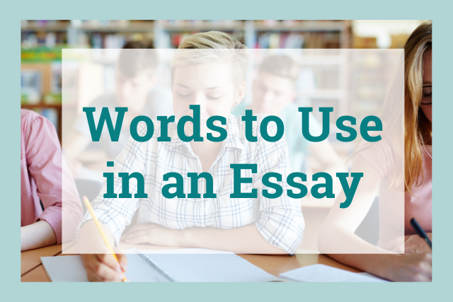 Words to Use in an Essay: 300 Essay Words