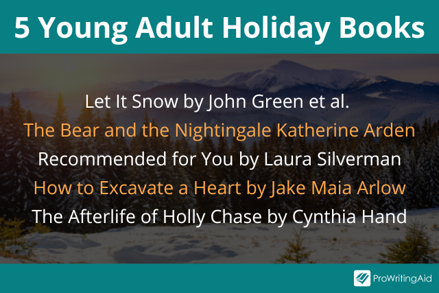 young adult holiday book